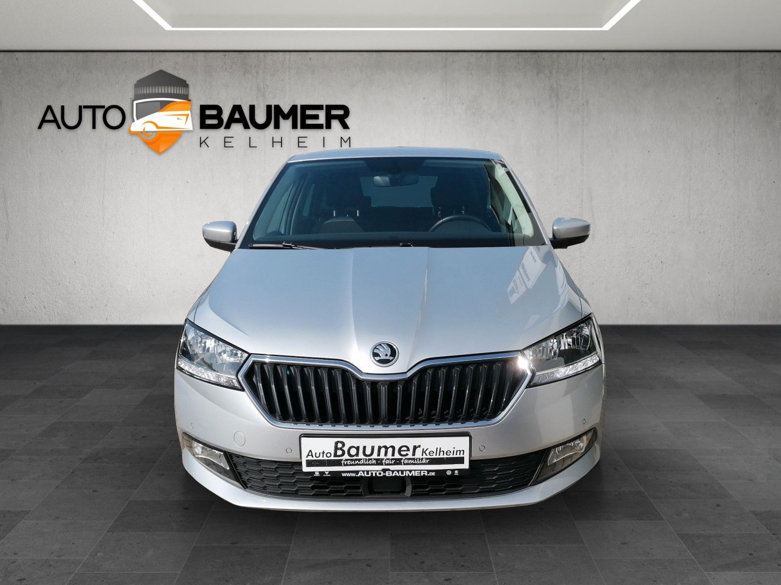 Fahrzeugabbildung SKODA Fabia Combi 1.0 TSI Ambition AMUNDS BLIND SP PDC