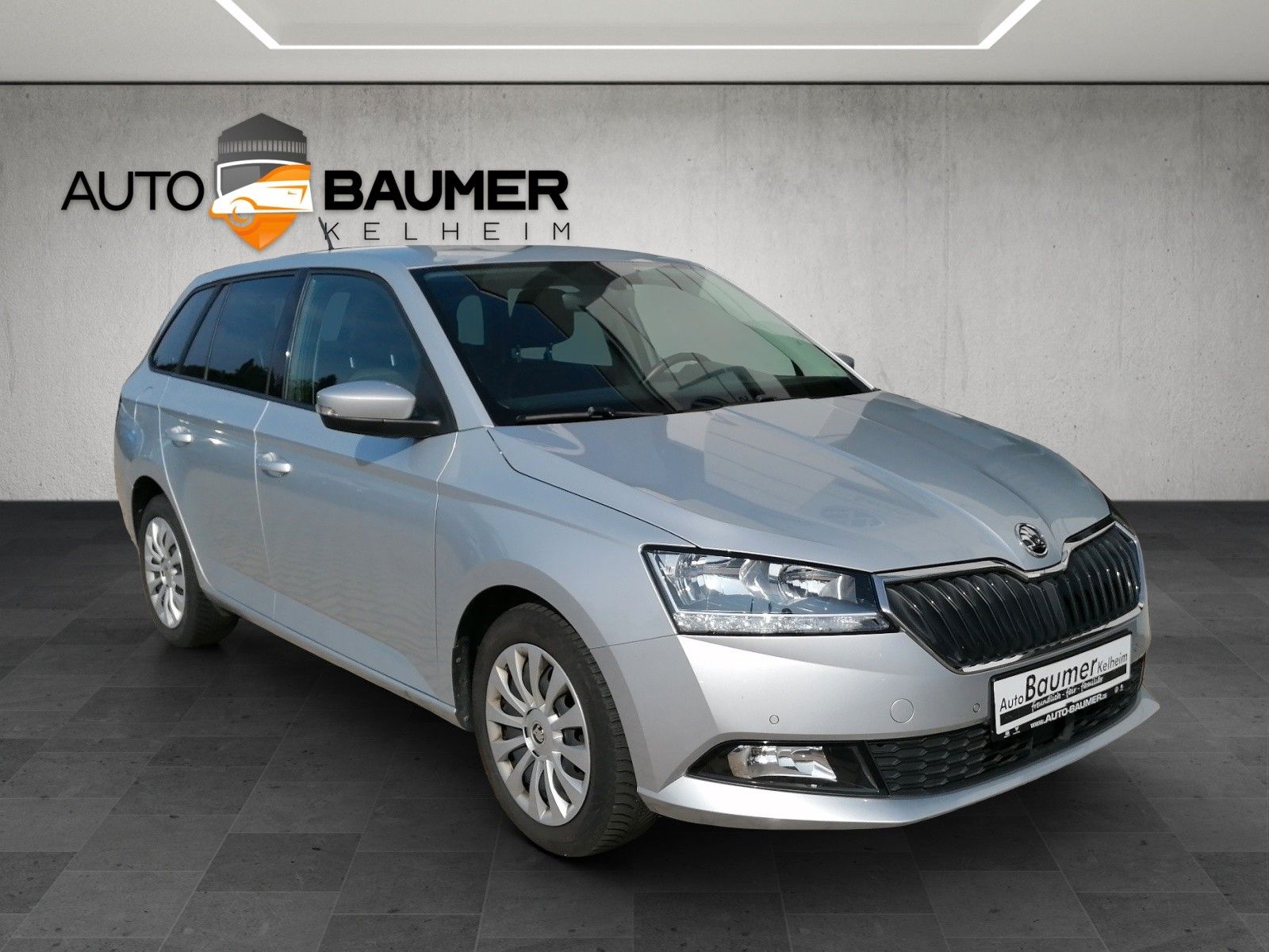 Fahrzeugabbildung SKODA Fabia Combi 1.0 TSI Ambition AMUNDS BLIND SP PDC