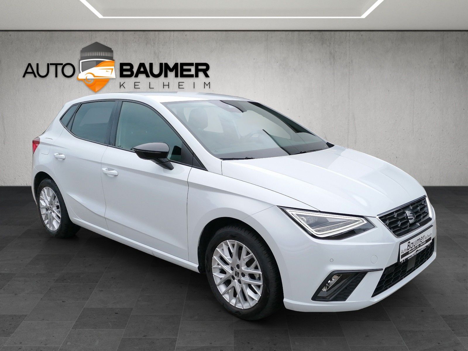 Fahrzeugabbildung SEAT Ibiza 1.0 TSI FR DSG XL VC NAVI LED KAM