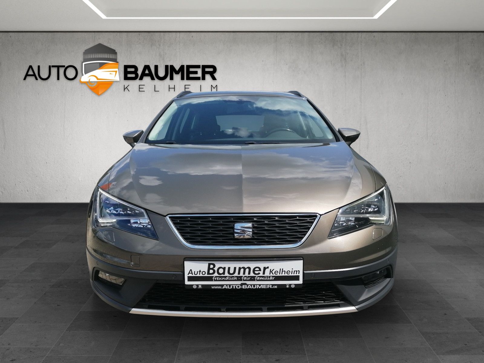 Fahrzeugabbildung SEAT Leon ST 2.0 TDI DSG X-Perience 4Drive Alcan LED