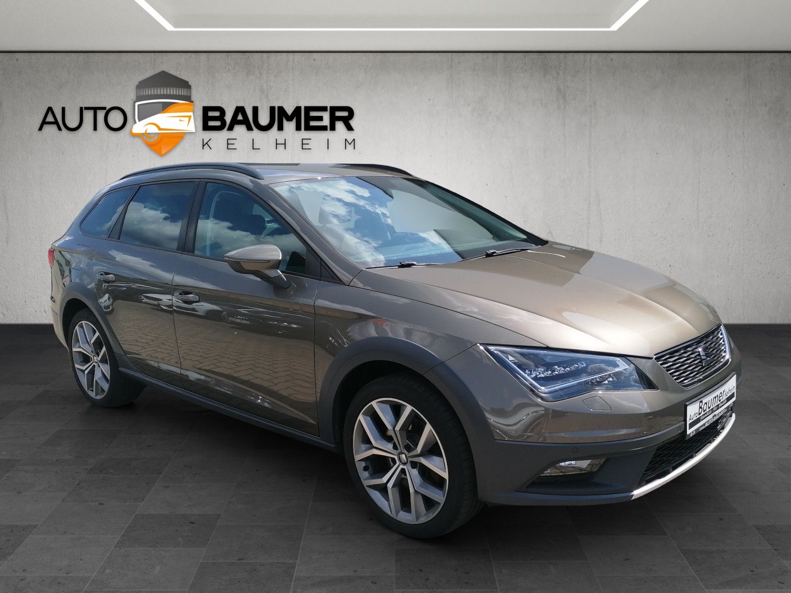 Fahrzeugabbildung SEAT Leon ST 2.0 TDI DSG X-Perience 4Drive Alcan LED